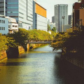 A river flanked by buildings and trees under a clear sky in an urban setting near LOCAL Boise Apartments.