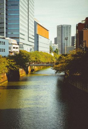 A river flanked by buildings and trees under a clear sky in an urban setting near LOCAL Boise Apartments.