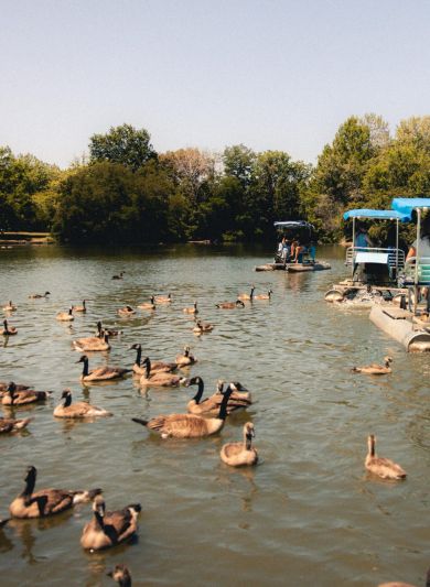 Dirt path lined with wooden fences winding through dry grassy hills at sunset, with a city in the distance near LOCAL Boise apartments.